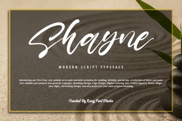 Shayne: The Handwritten Script for Modern Creatives